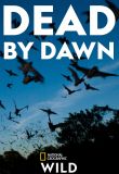 Dead by Dawn - Season 1