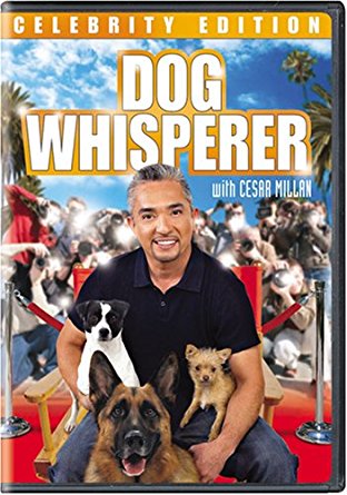 Dog Whisperer with Cesar Millan - Season 4