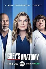 Grey's Anatomy - Season 19