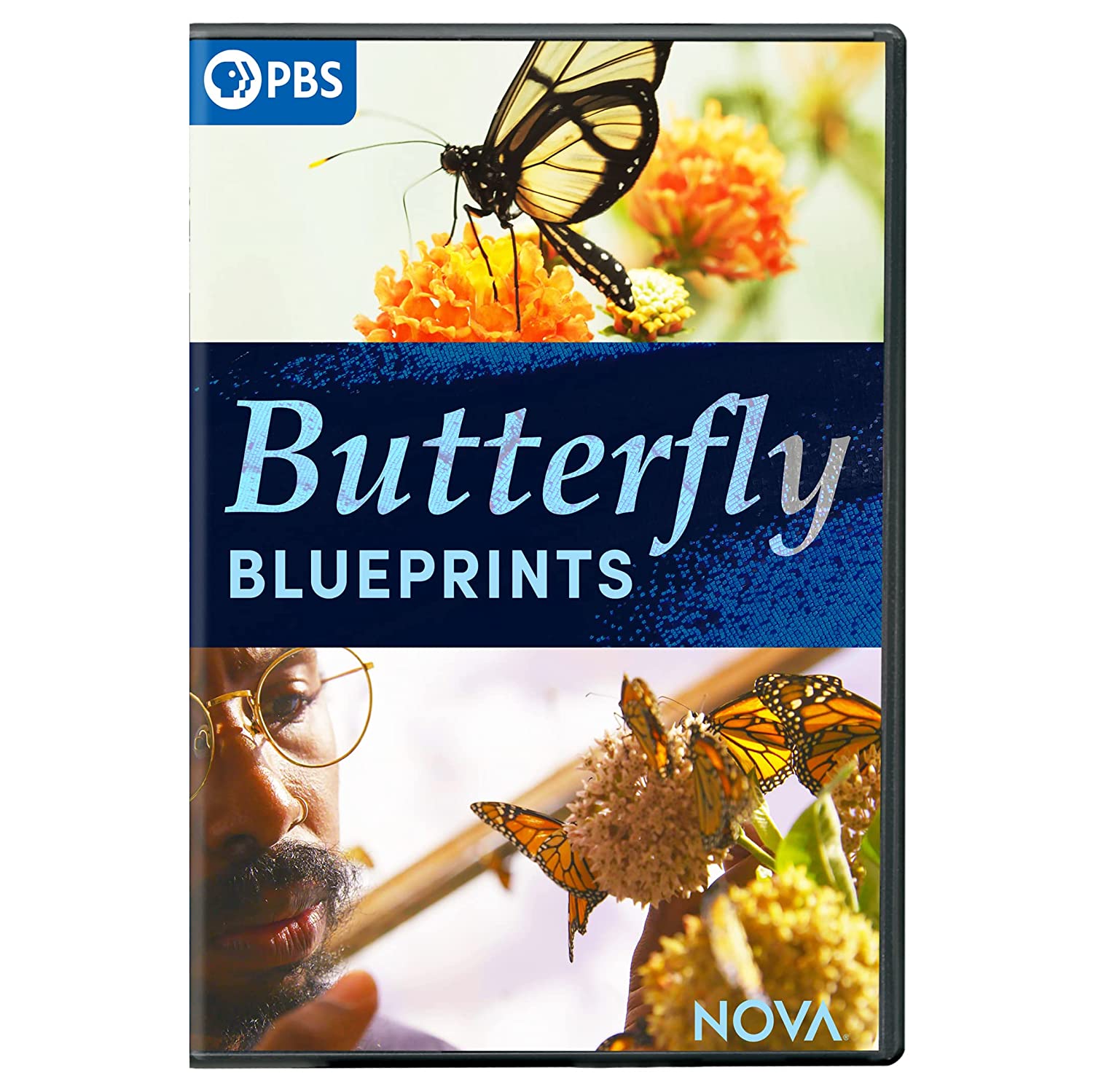 "Nova" Butterfly Blueprints