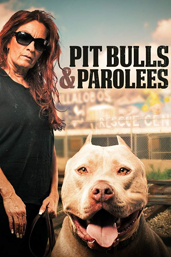 Pit Bulls and Parolees - Season 17