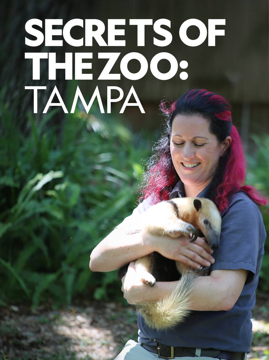 Secrets of the Zoo: Tampa - Season 2