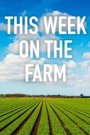 This Week on the Farm - Season 1