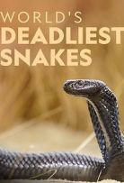World's Deadliest Snakes - Season 1