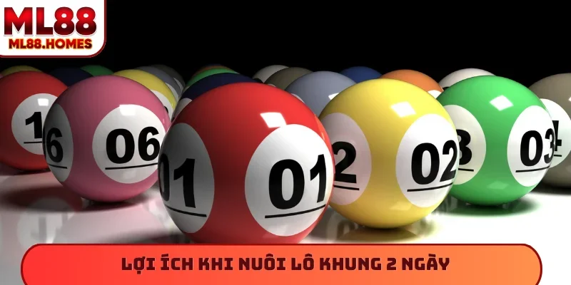 Lợi ích khi nuôi lô khung 2 ngày